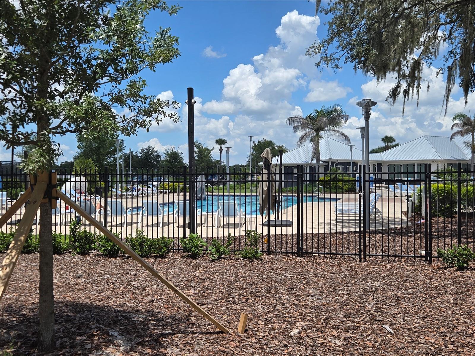 12730 Mangrove Forest Dr Property Photo 37