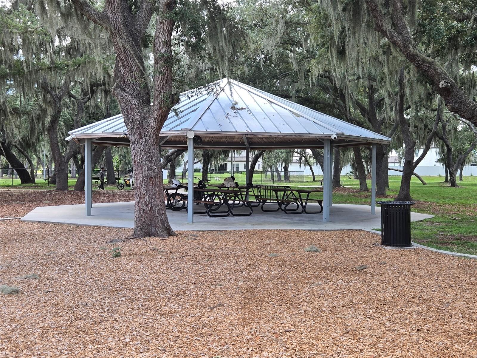 12730 Mangrove Forest Dr Property Photo 41