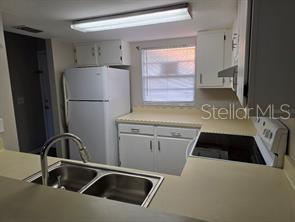 2031 Pine Chace Ct Property Photo 4