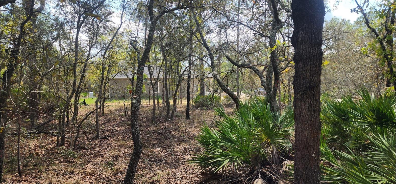 18106 Parakeet Rd Property Photo 2