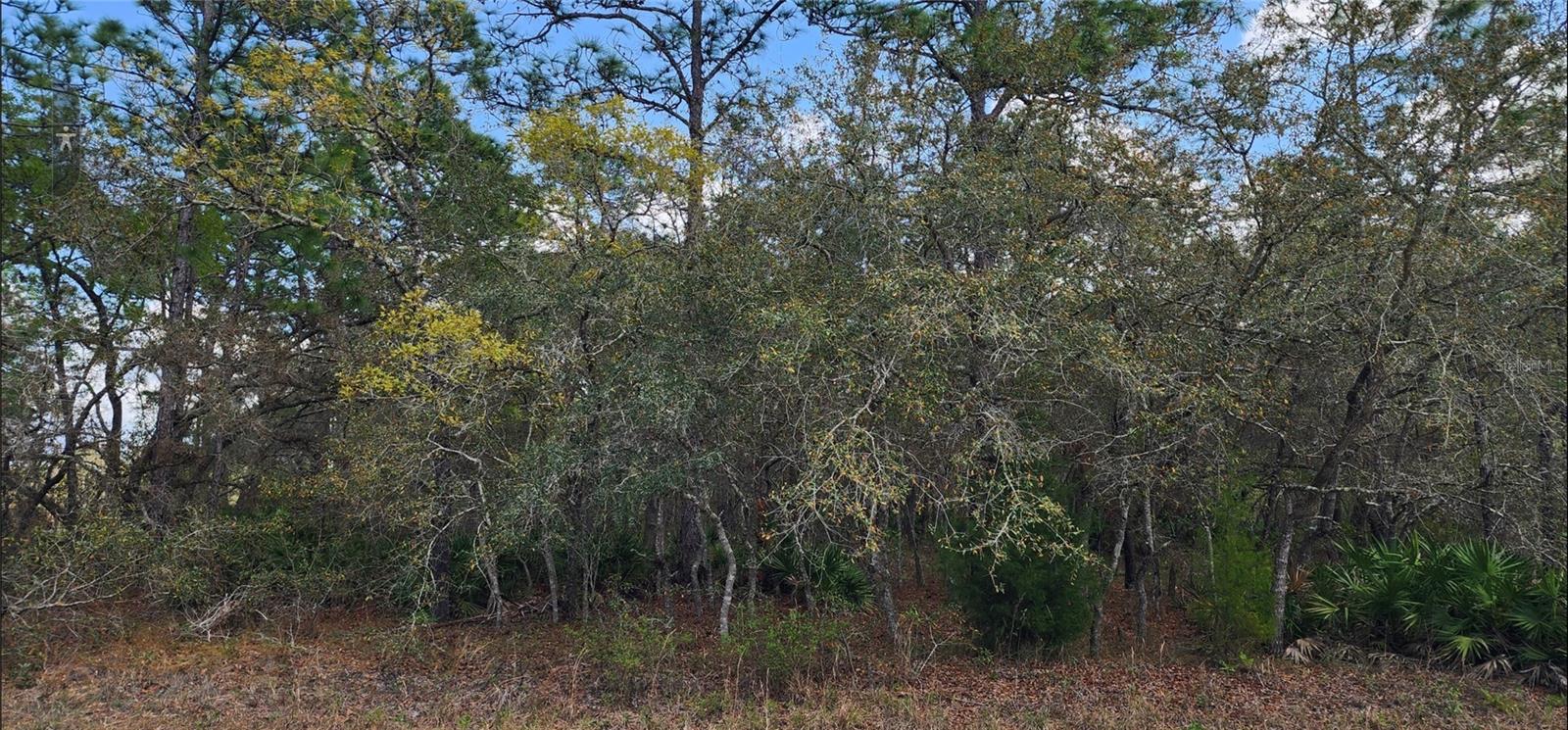 18106 Parakeet Rd Property Photo 4