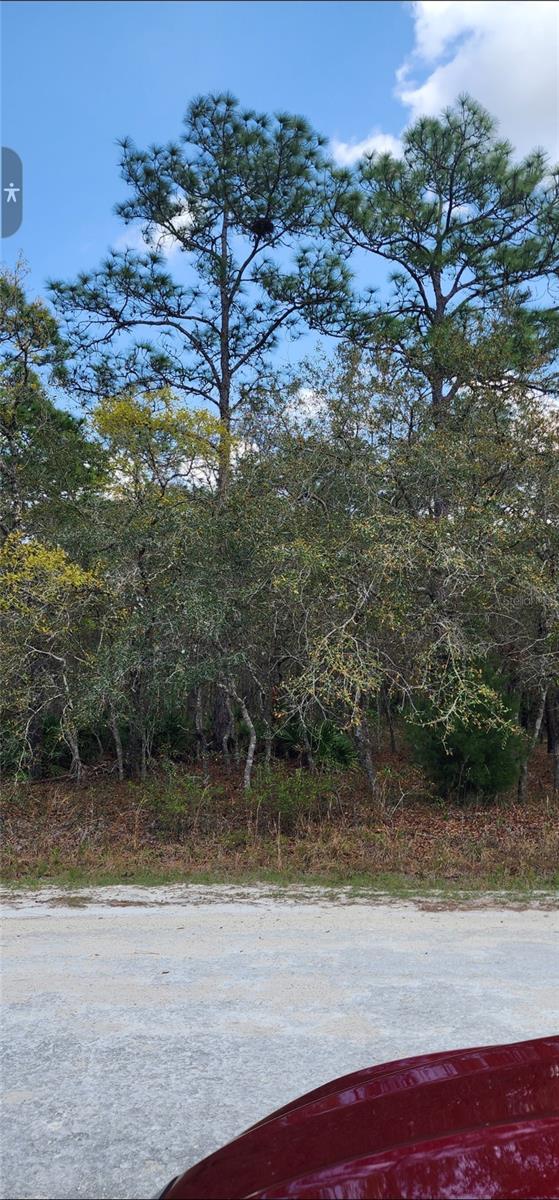18106 Parakeet Rd Property Photo 5