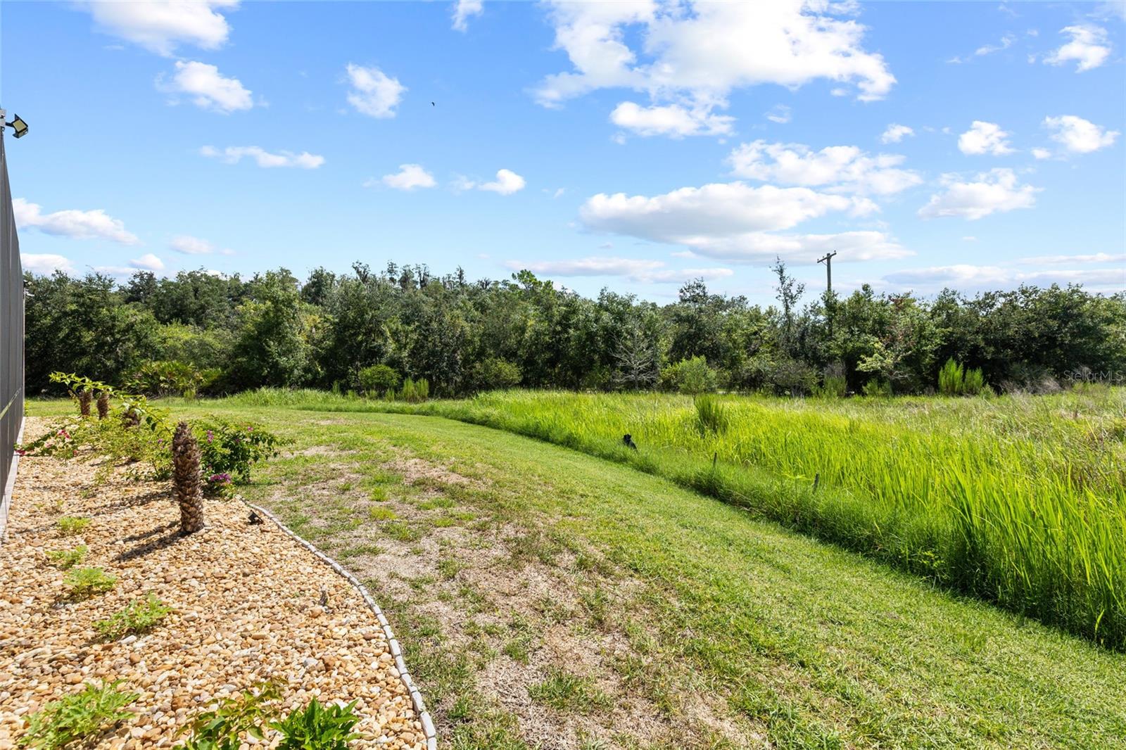 13098 Wellspring Dr Property Photo 48
