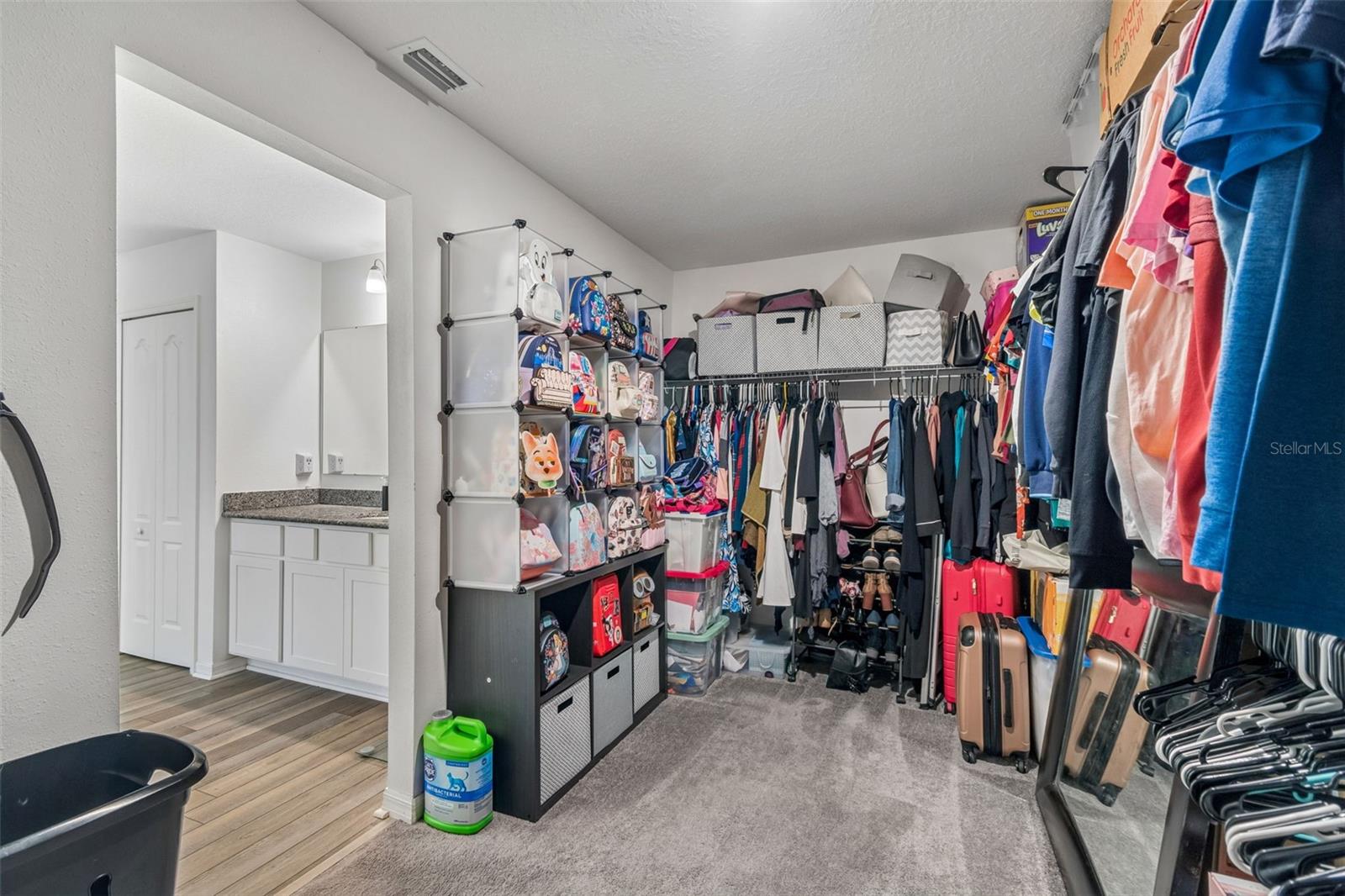 10501 Red Coach St Property Photo 85