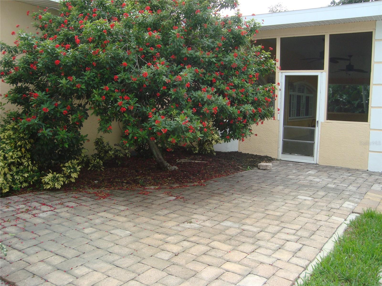 601 Palm Ave Property Photo 27