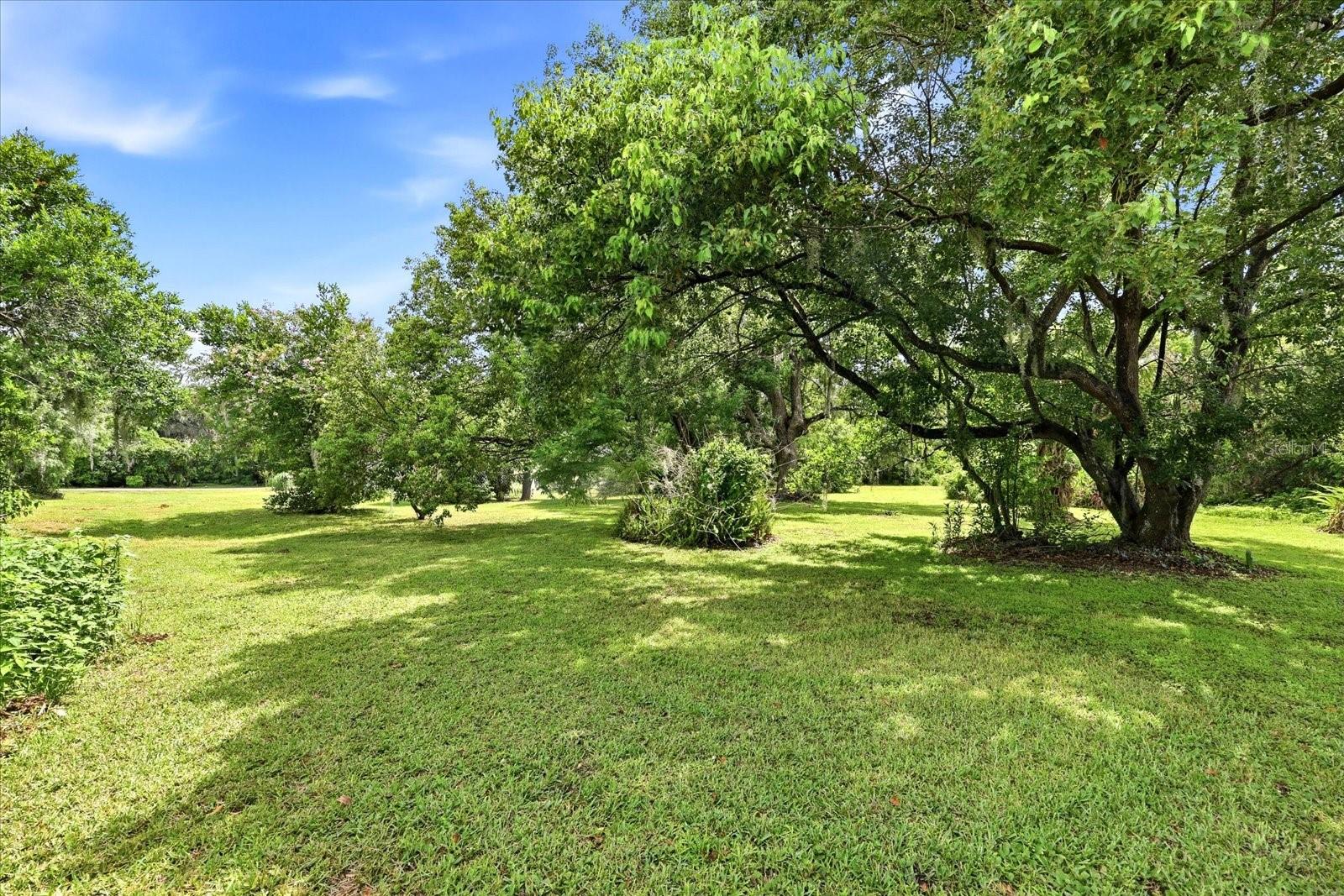 403 S Parsons Ave Property Photo 21