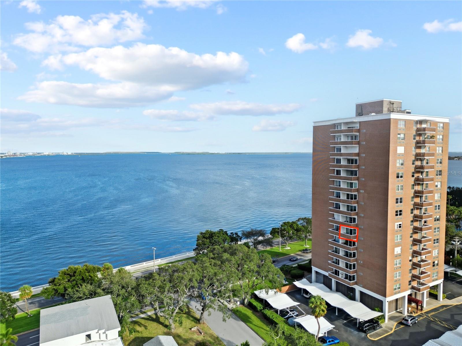 4015 Bayshore Blvd #7c Property Photo 2