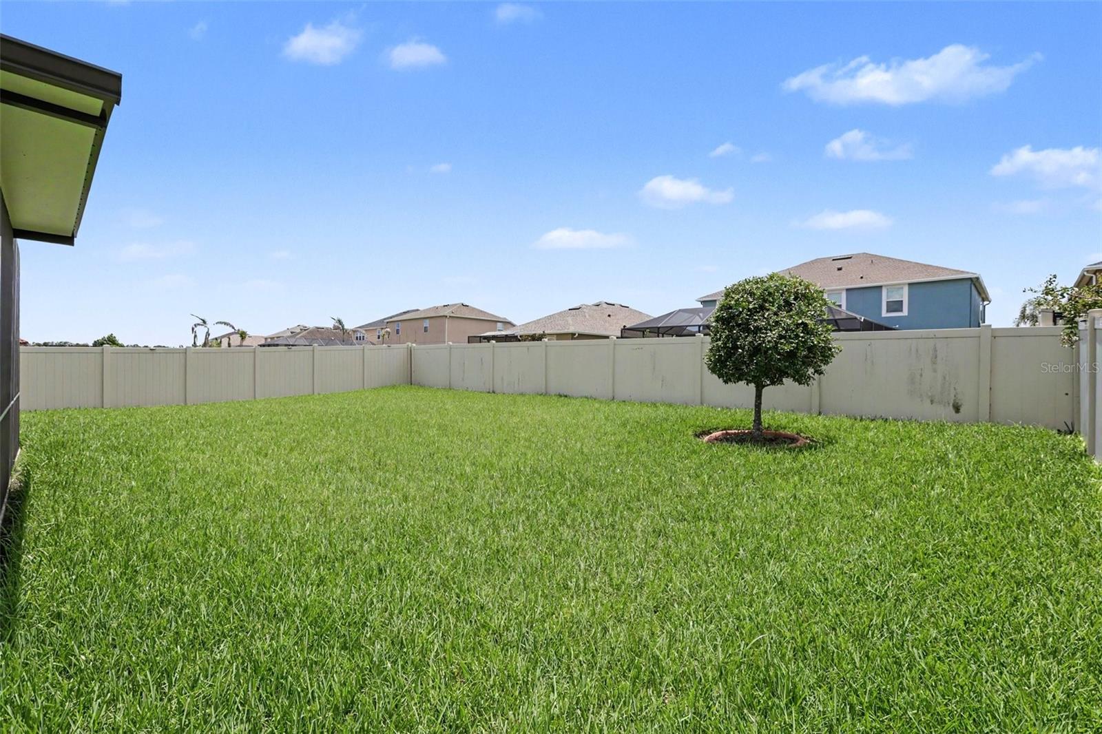 12005 Cinnamon Fern Dr Property Photo 24
