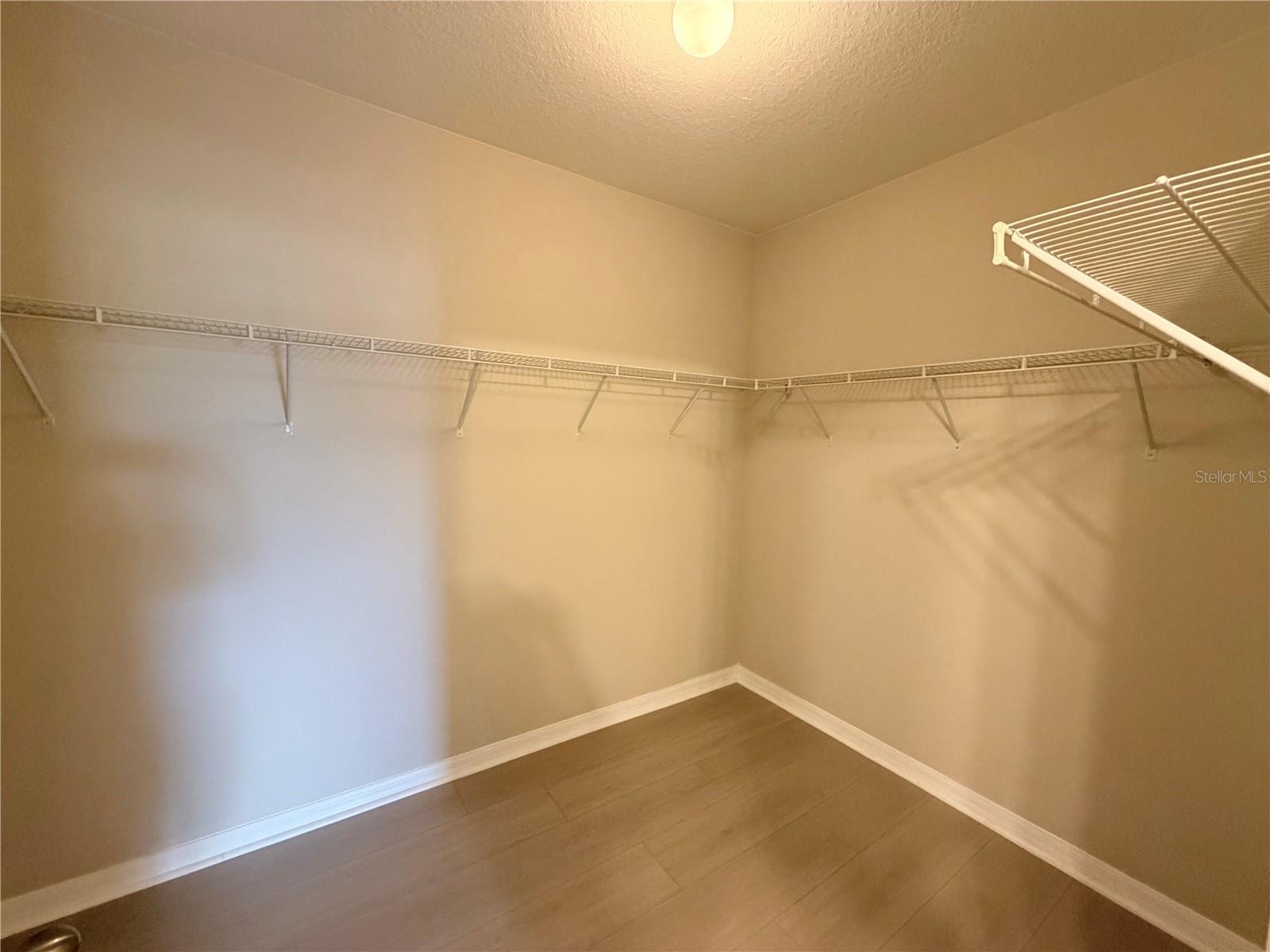 10013 Crested Fringe Dr Property Photo 13