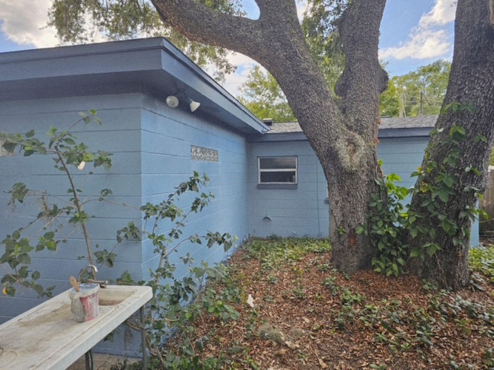 10209 Lola St Property Photo 10