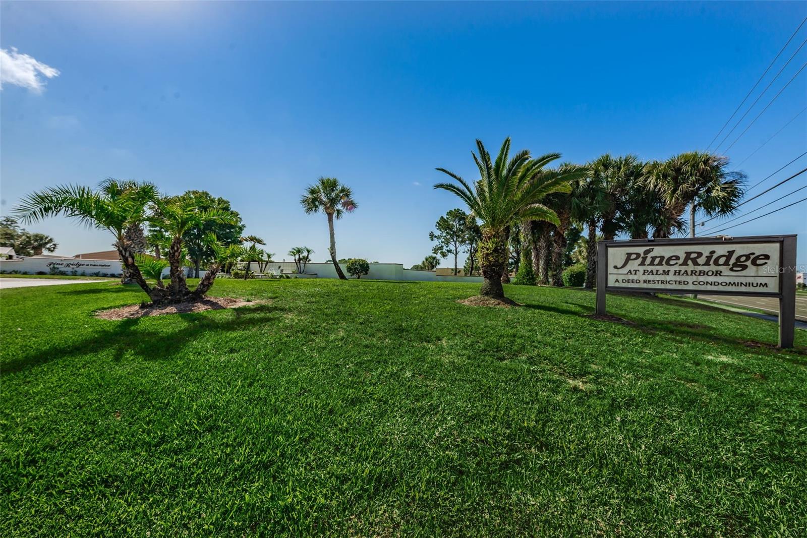 2575 Pine Ridge Way S #e1 Property Photo 15