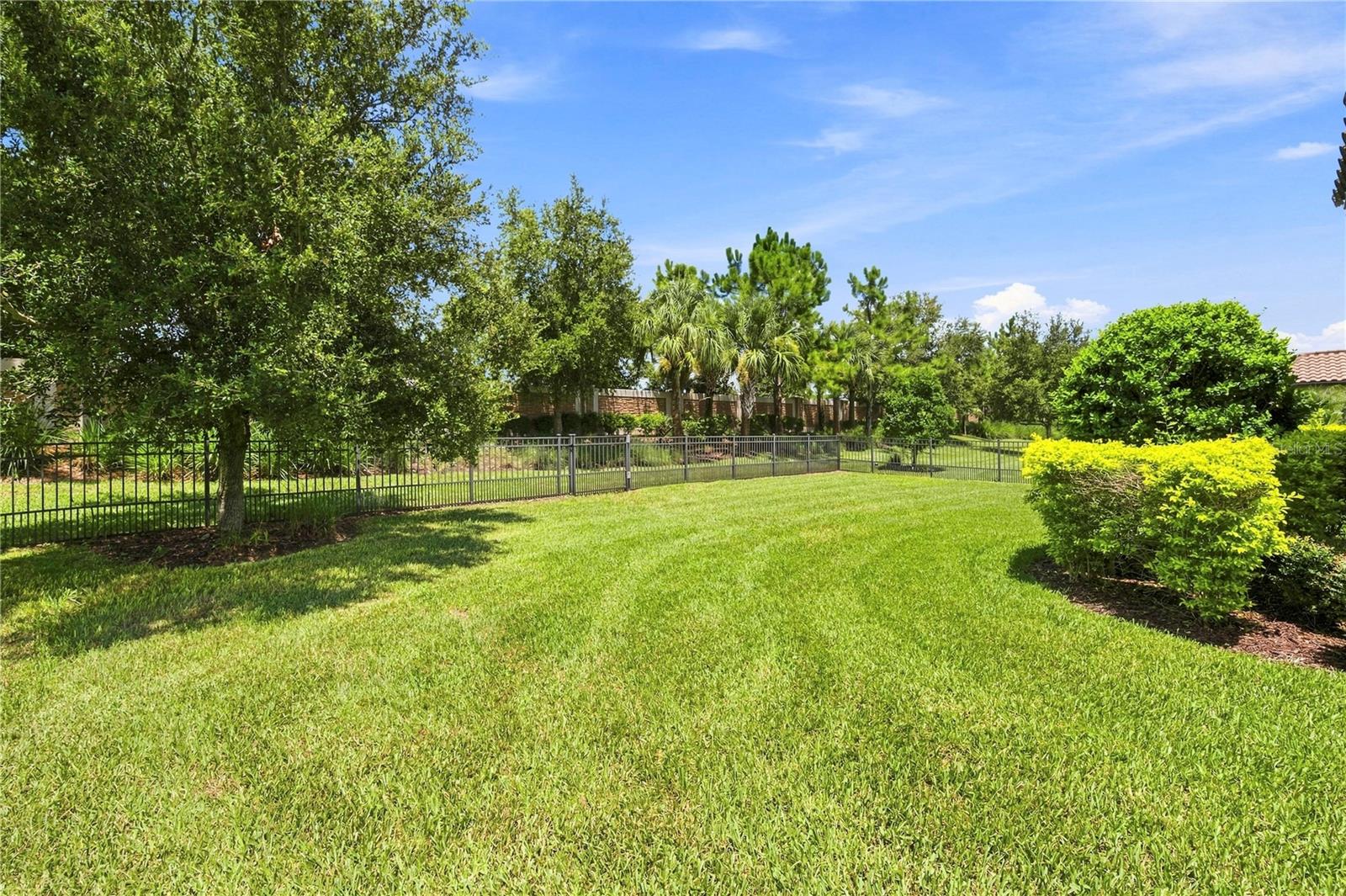 11301 Juglans Dr Property Photo 43