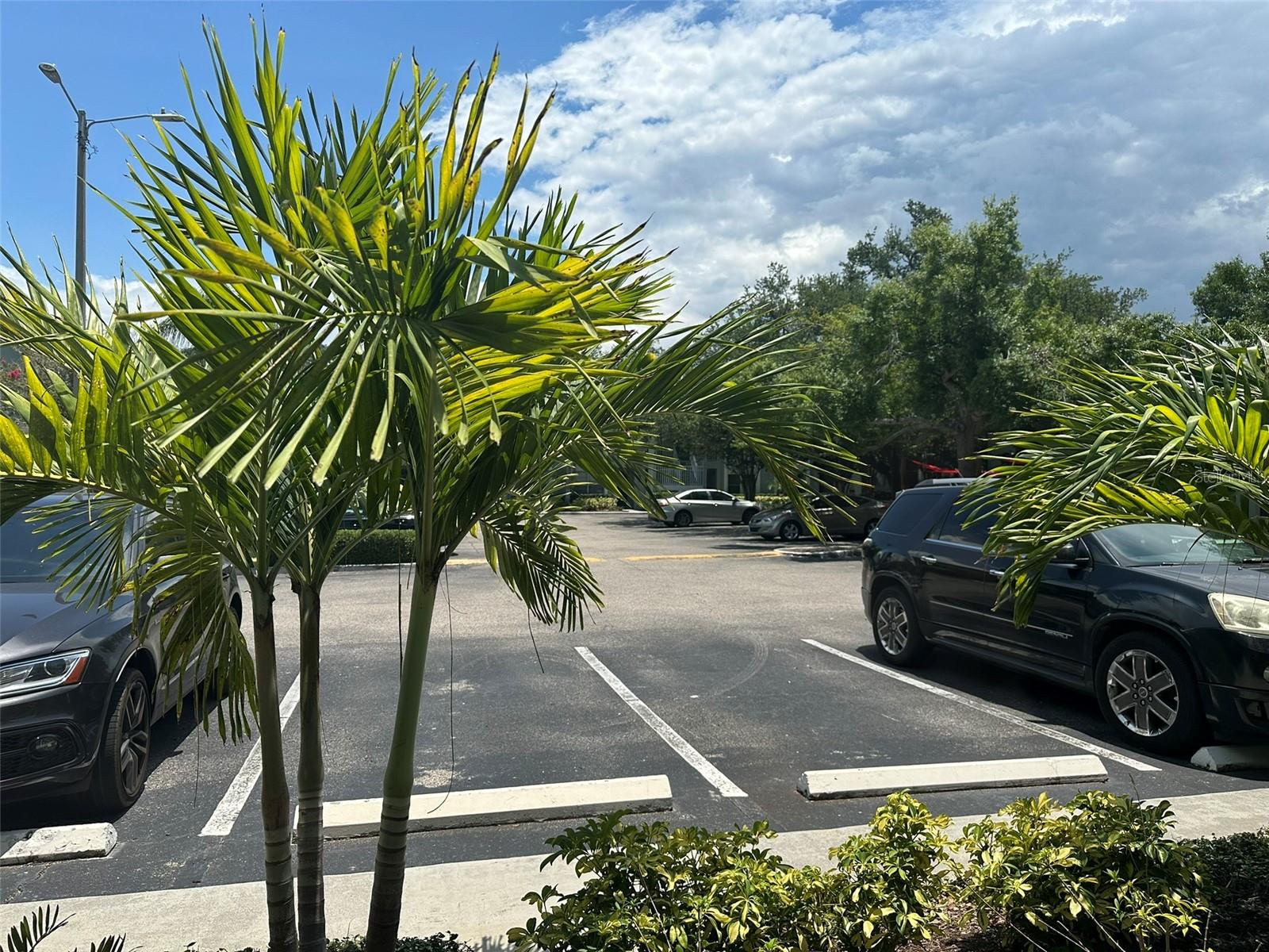 5440 S Macdill Ave #1c Property Photo 6