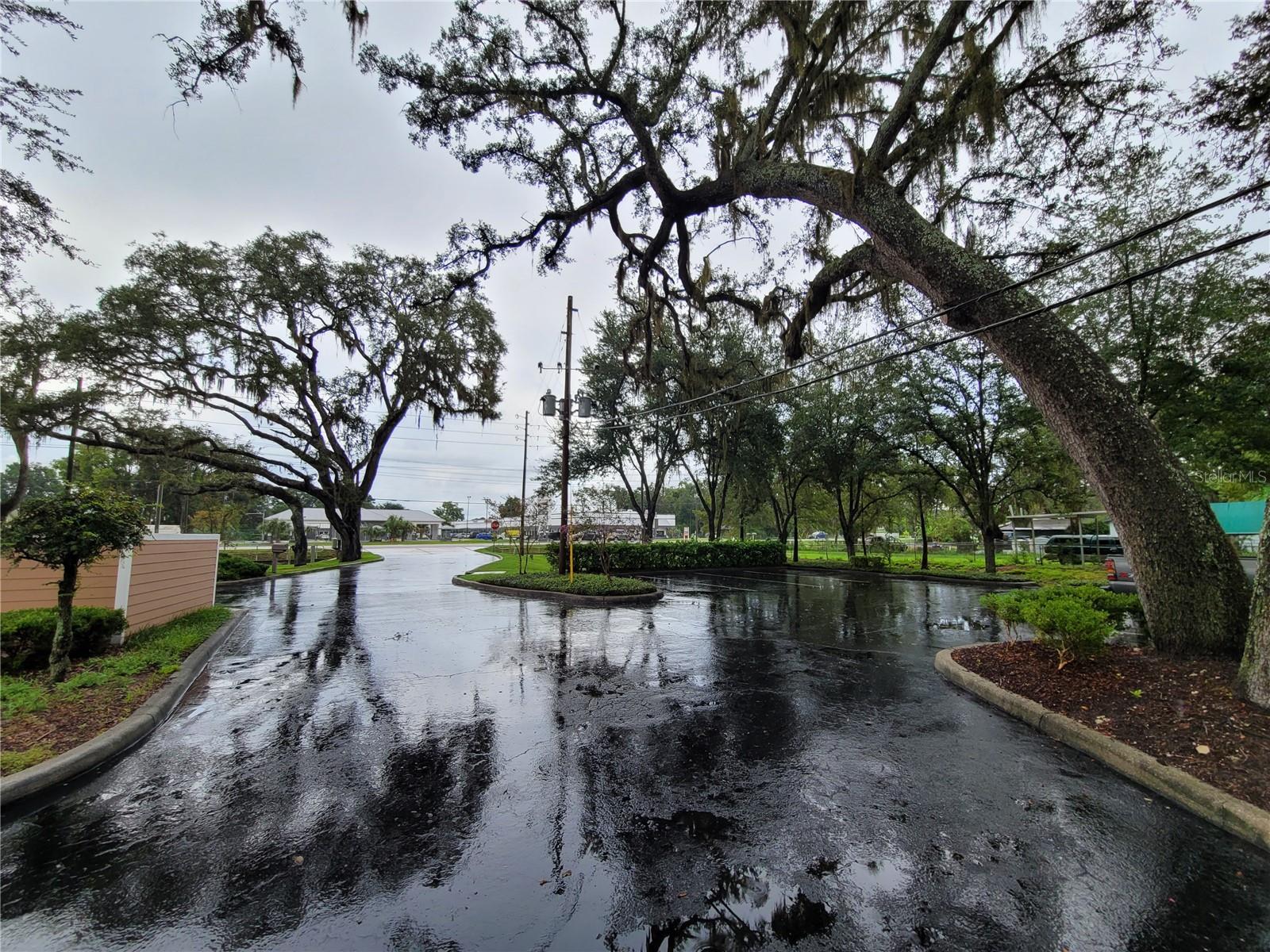 37310 Pure Water Way Property Photo 6