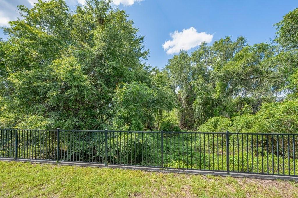 11505 Cambium Crown Dr Property Photo 25