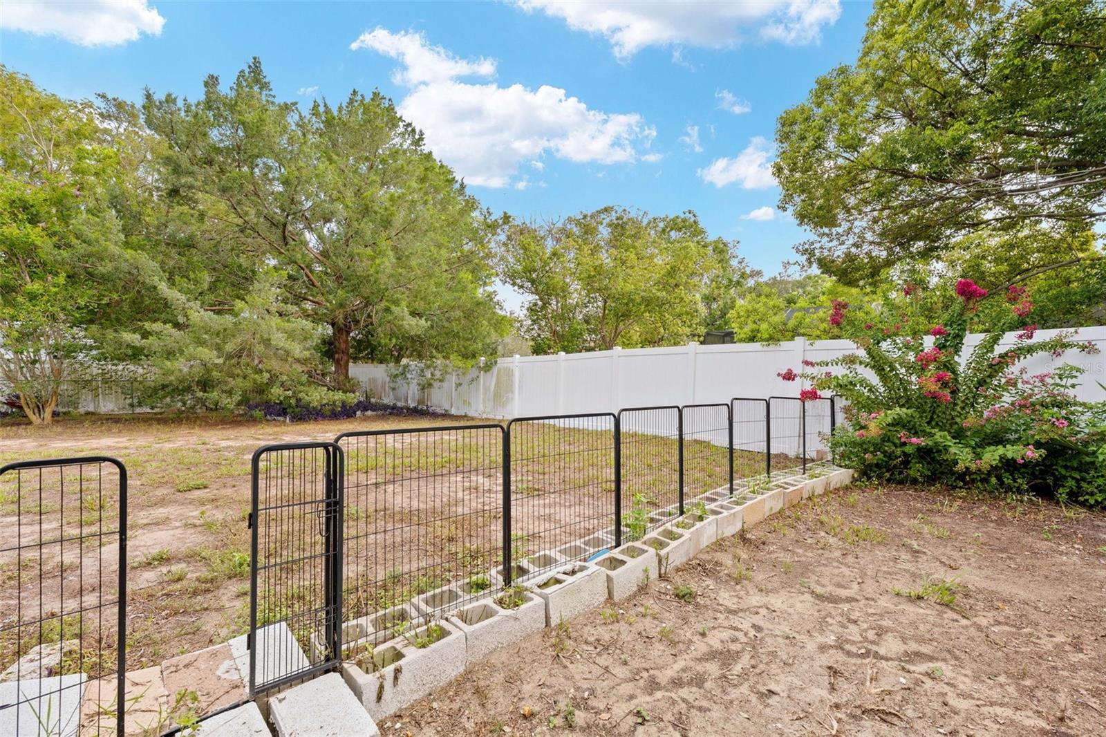 10196 Heathcliff St Property Photo 30
