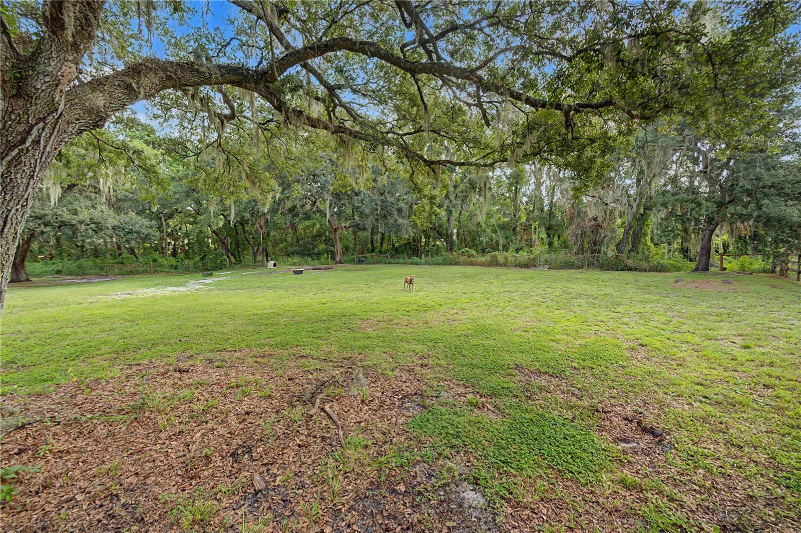 3935 Ewell Rd Property Photo 33