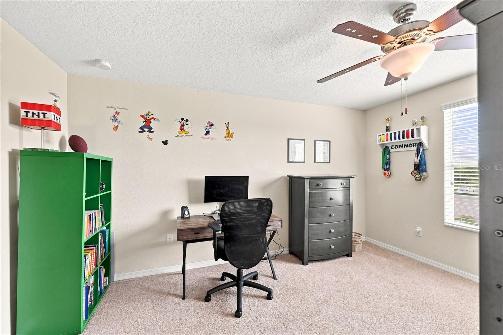 12335 Ballentrae Forest Dr Property Photo 31