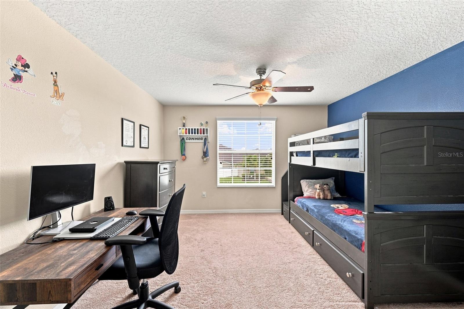 12335 Ballentrae Forest Dr Property Photo 40