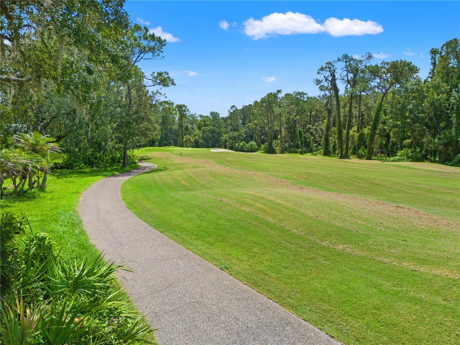 6005 Fairway Palms Ct Property Photo 49