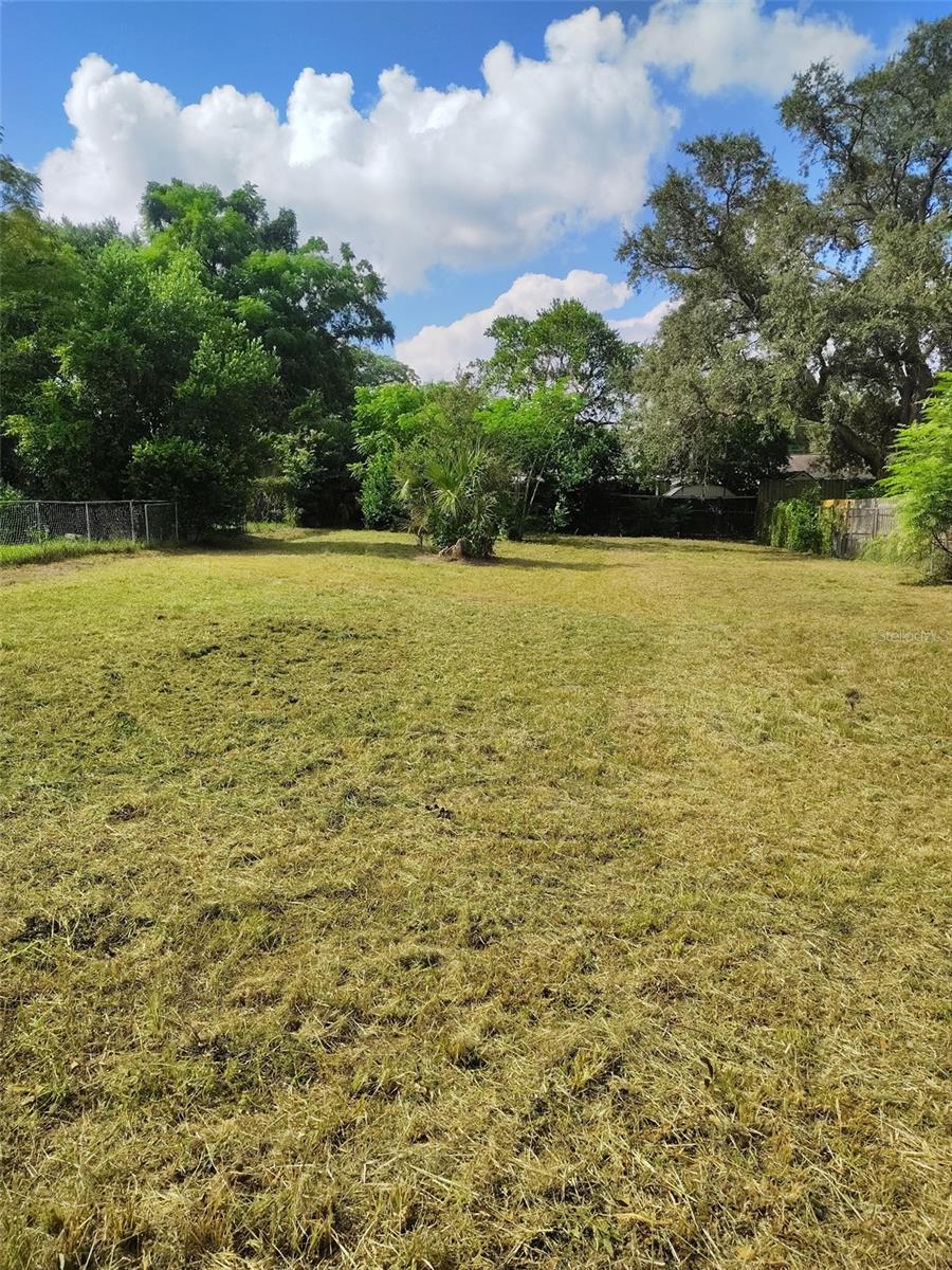 0 E Linebaugh Ave Property Photo 1