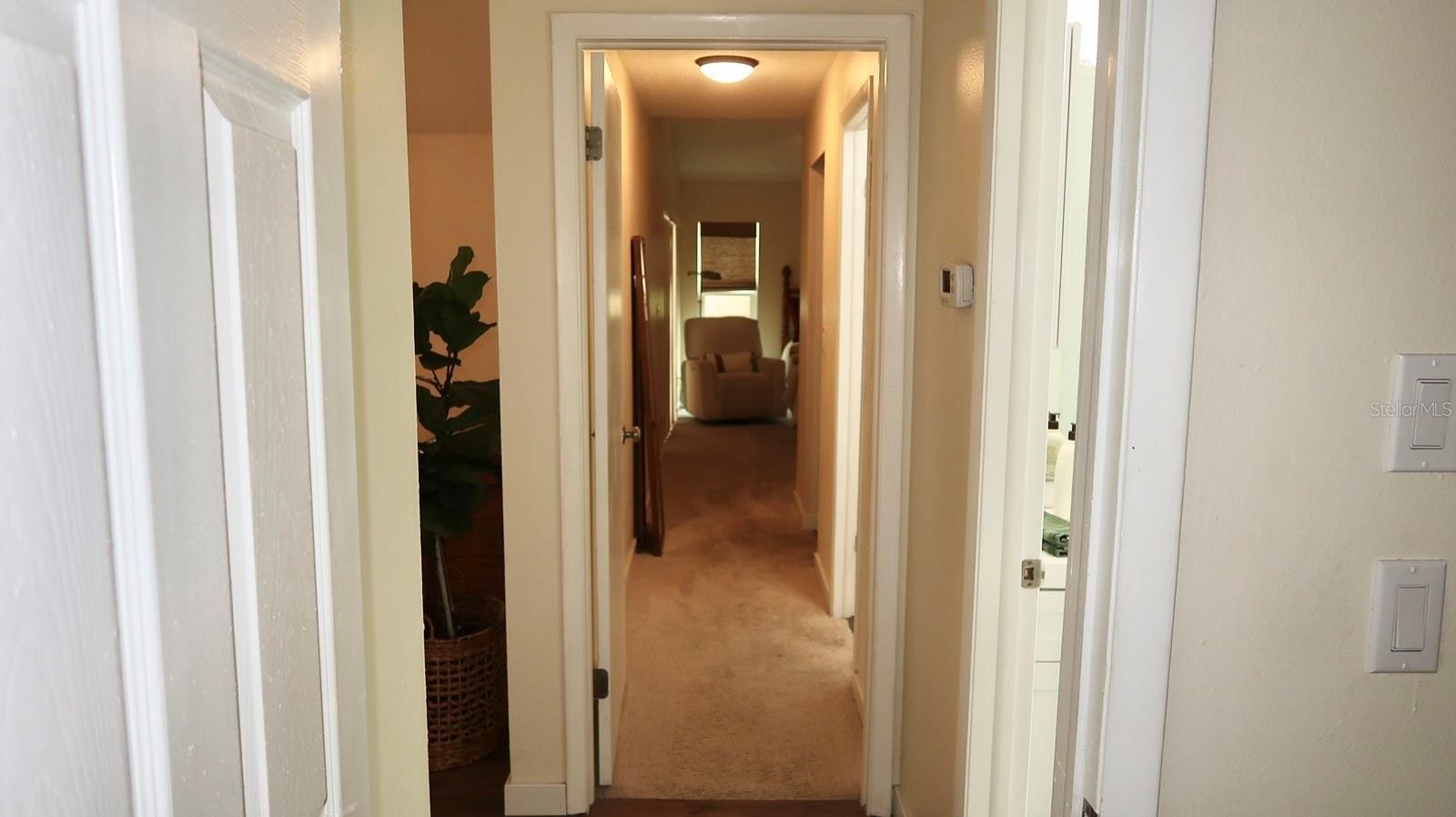 12818 Tallowood Dr Property Photo 11
