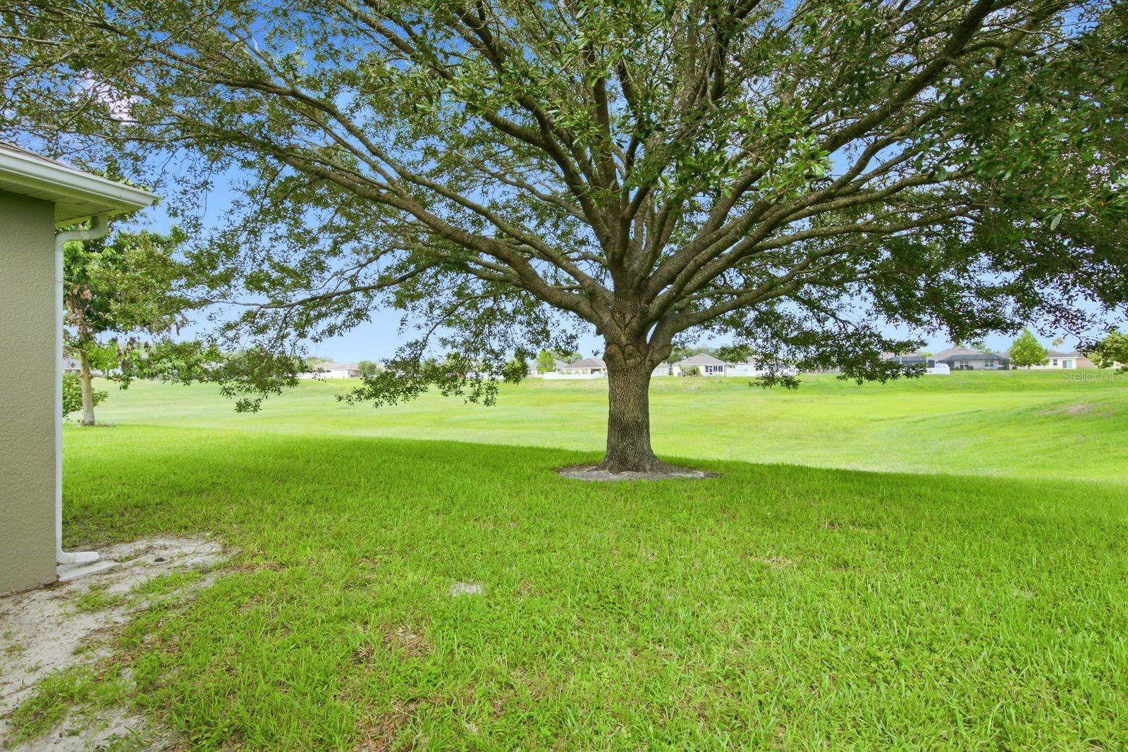14830 Potterton Cir Property Photo 37