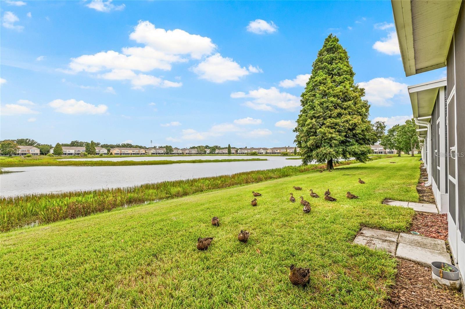 4879 Pond Ridge Dr Property Photo 40