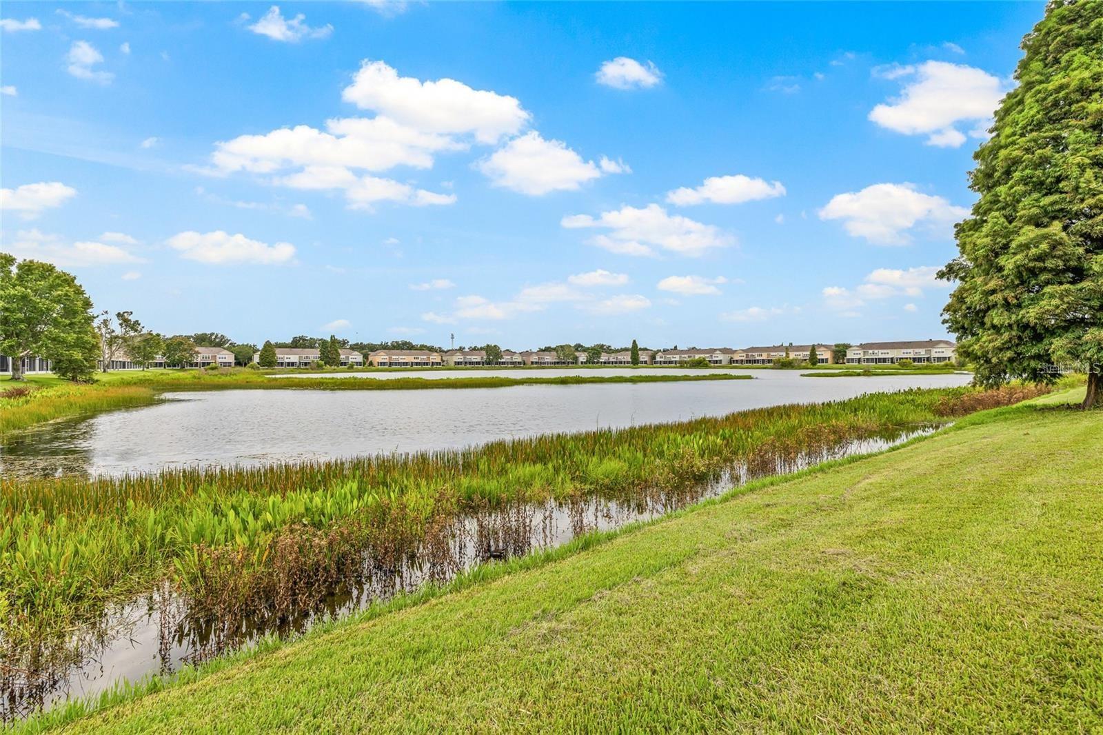 4879 Pond Ridge Dr Property Photo 42