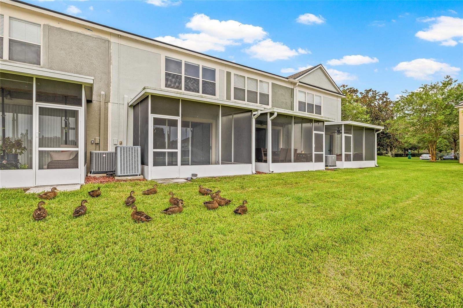 4879 Pond Ridge Dr Property Photo 43