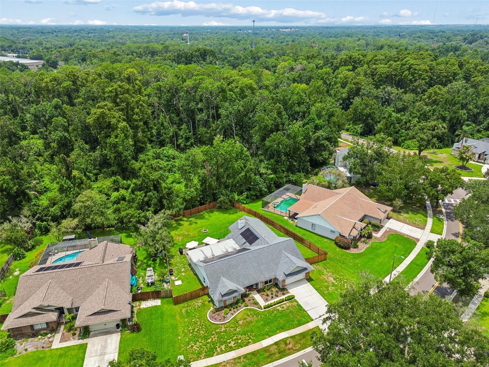 3607 Lithia Ridge Blvd Property Photo 51