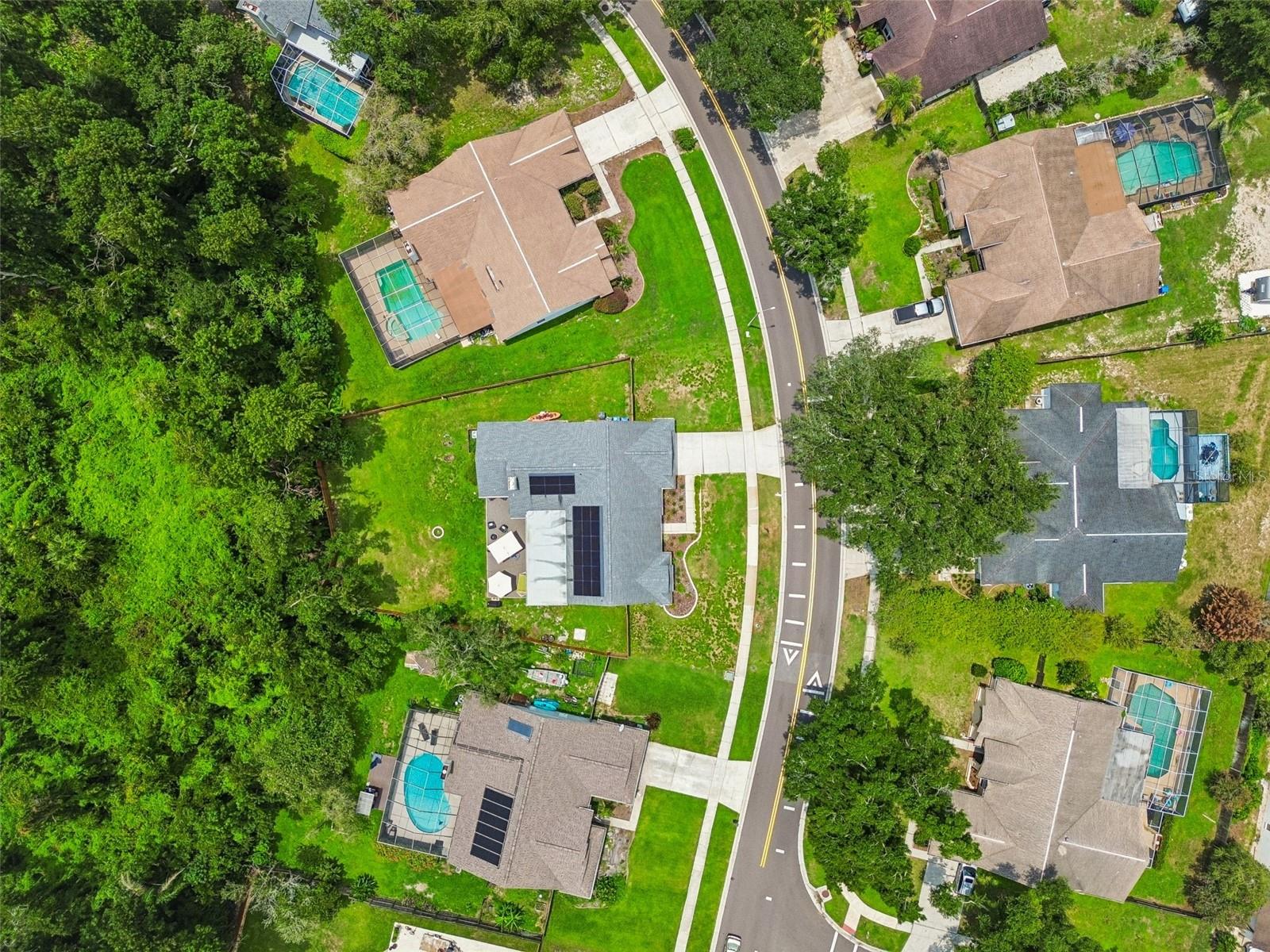 3607 Lithia Ridge Blvd Property Photo 52