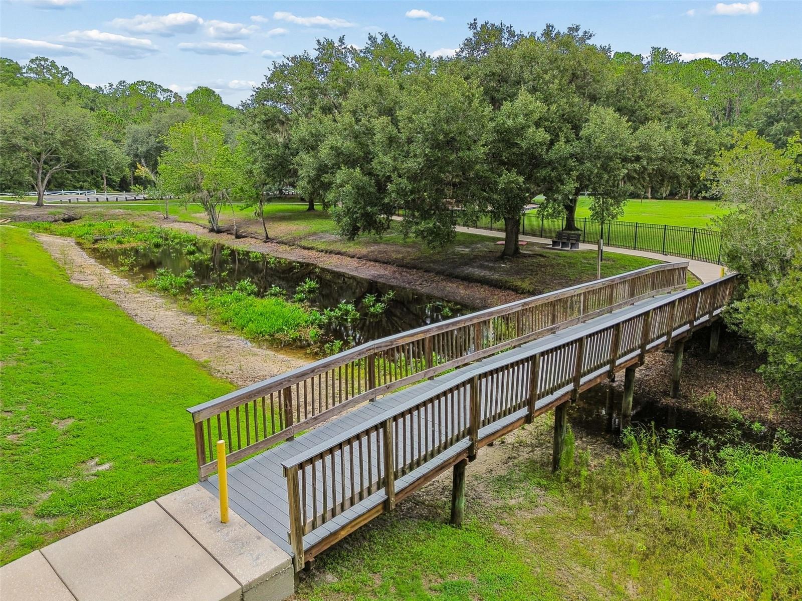 3607 Lithia Ridge Blvd Property Photo 57