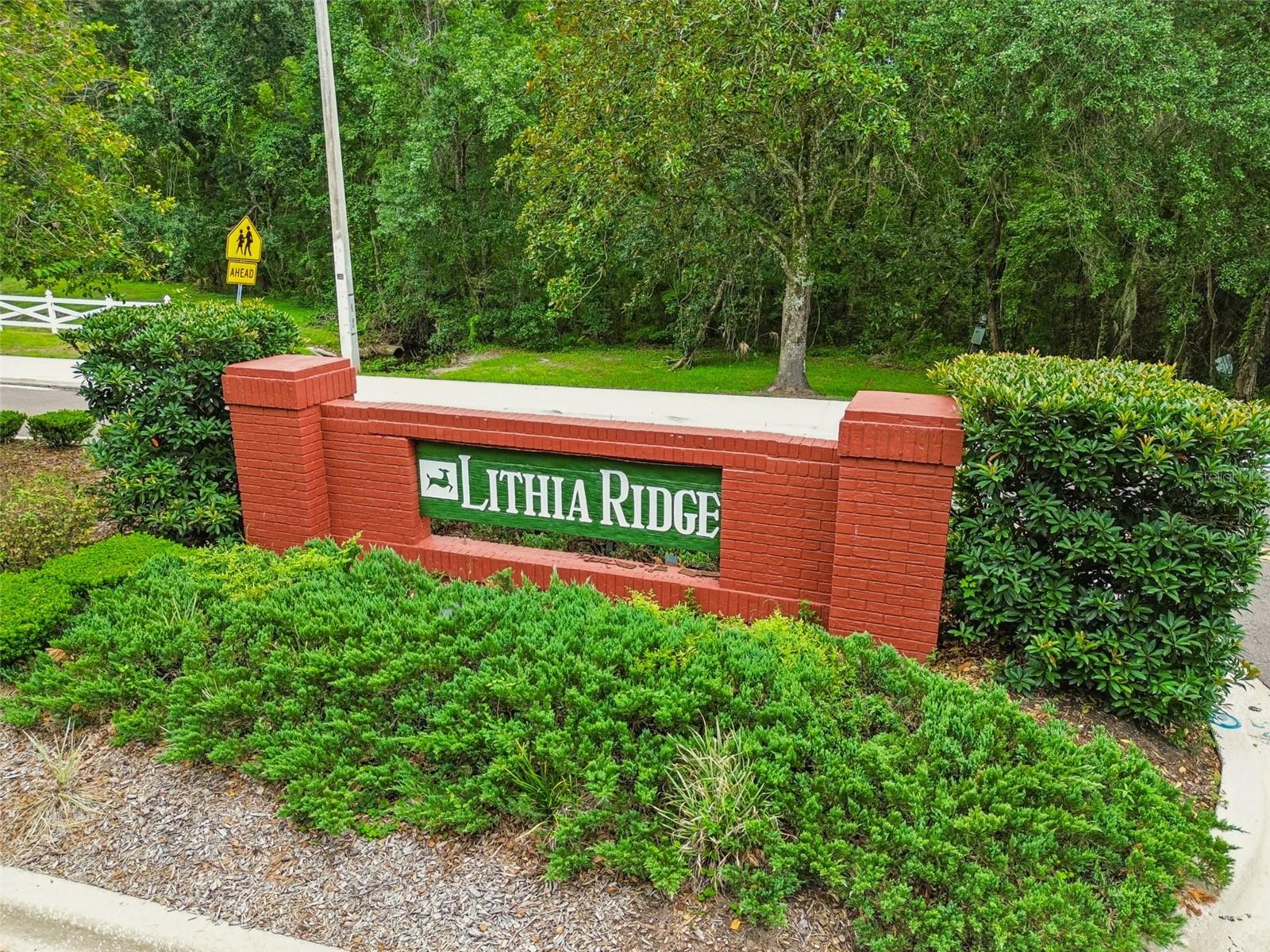 3607 Lithia Ridge Blvd Property Photo 61