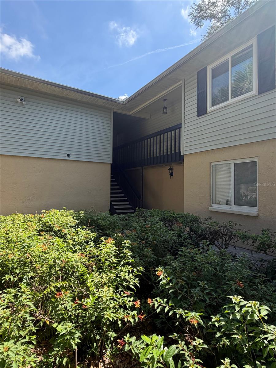 233 Thorn Tree Pl Property Photo 2
