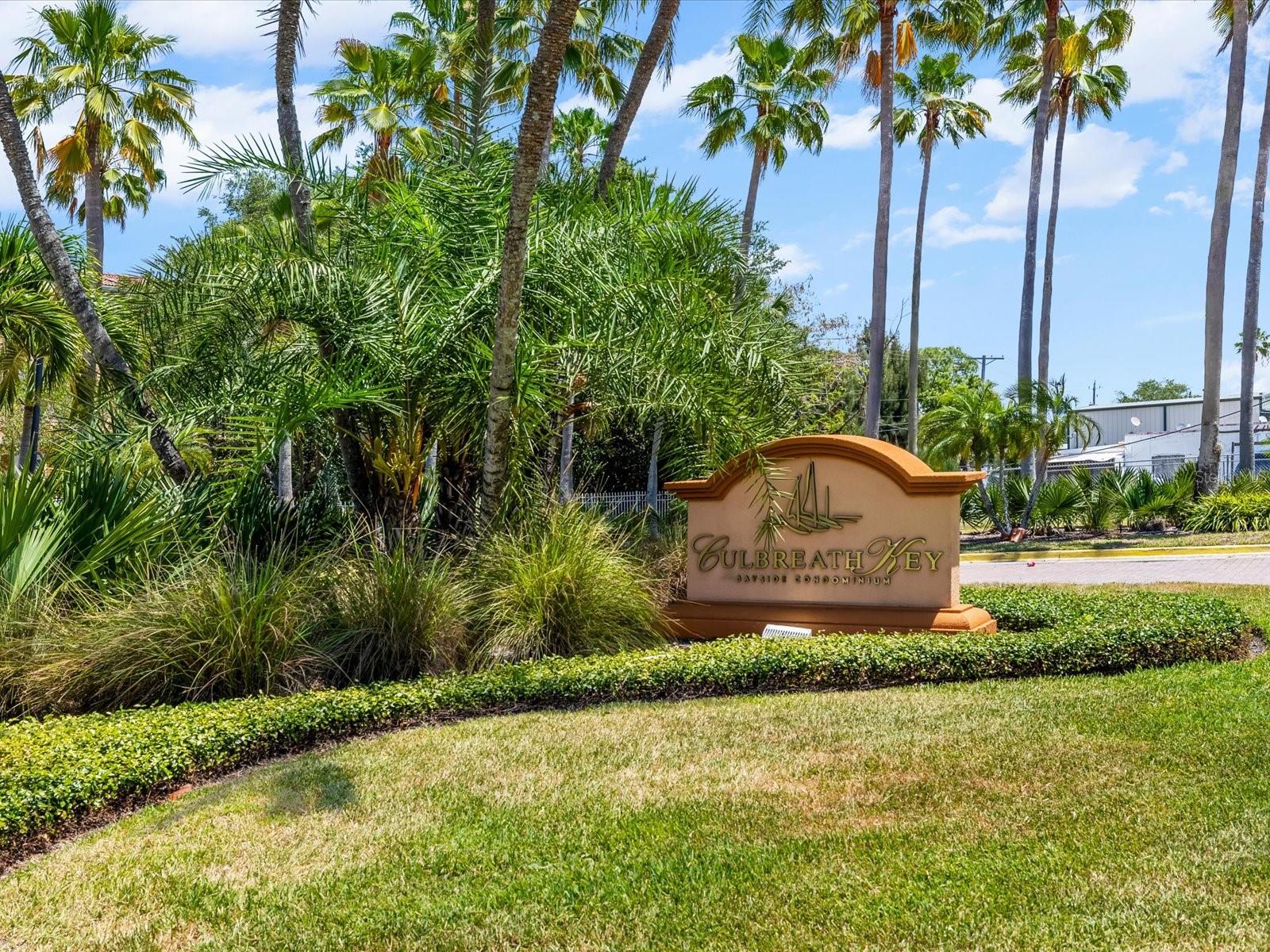 5000 Culbreath Key Way #9-301 Property Photo 42