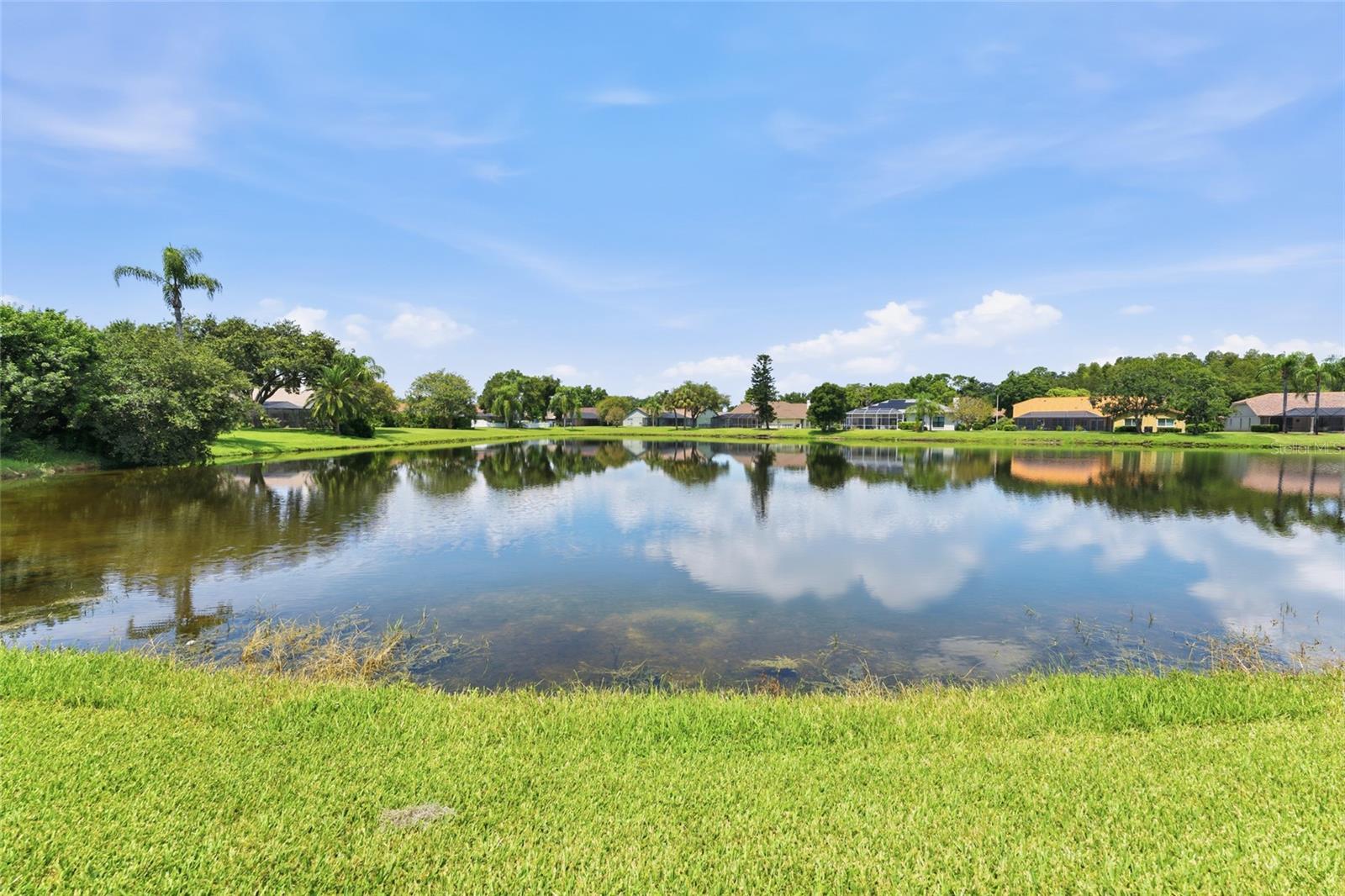 6513 Thoroughbred Loop Property Photo 63