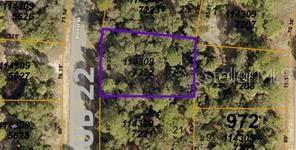 BASKET ST Property Photo 1