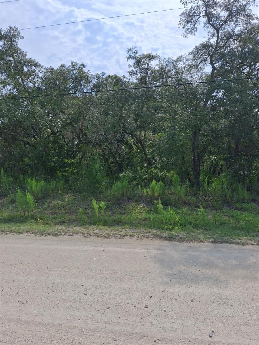 18364 PARAKEET RD Property Photo 1