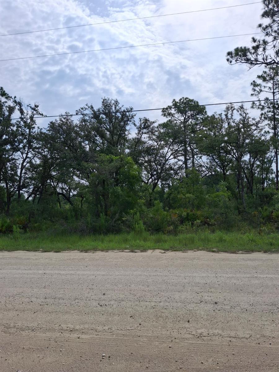 18308 Parakeet Rd Property Photo 1