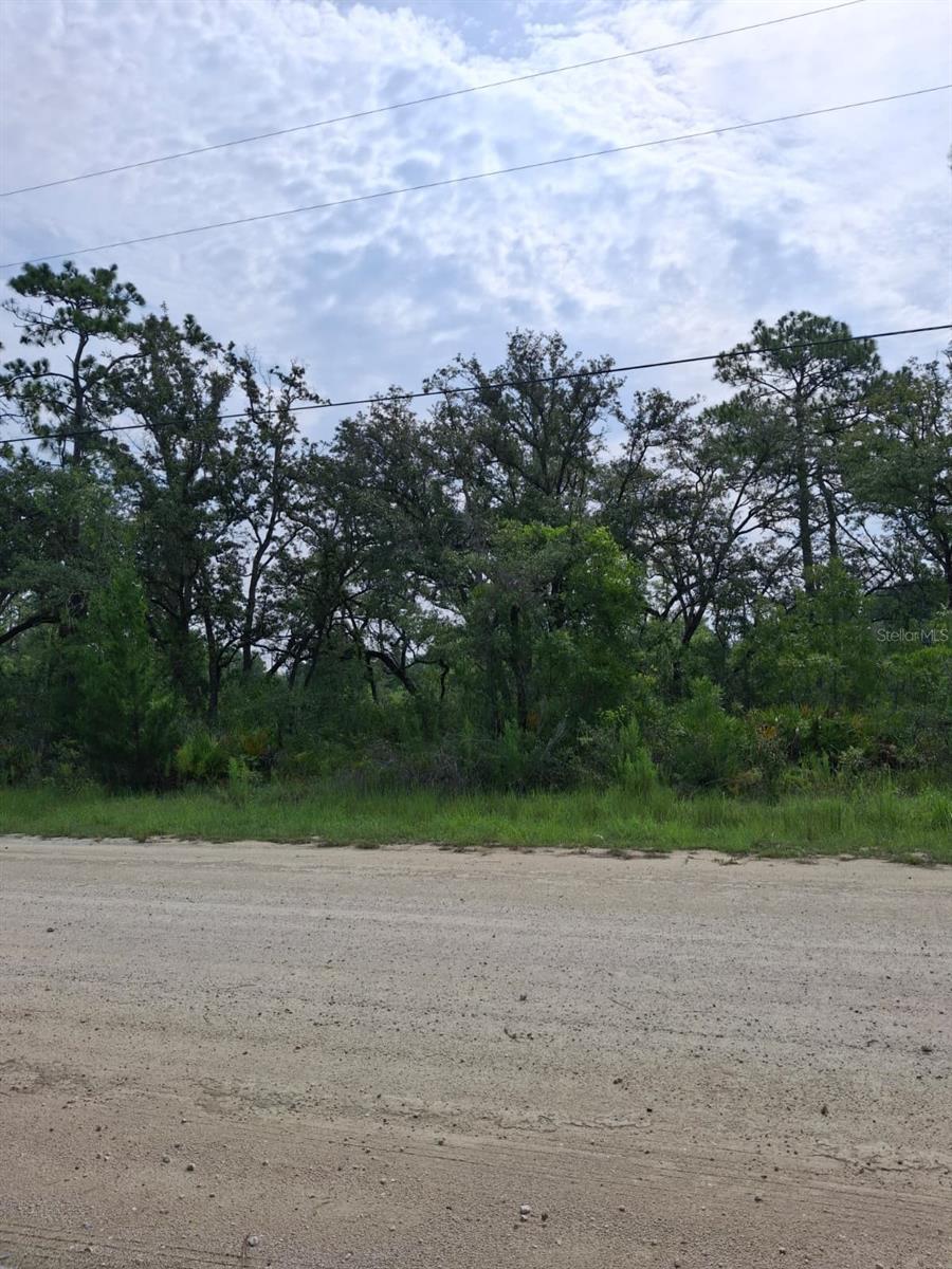 18308 Parakeet Rd Property Photo 2