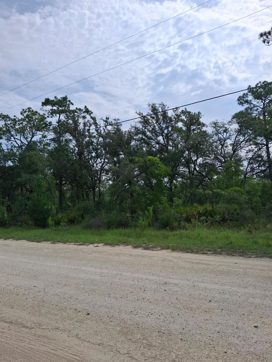 18308 Parakeet Rd Property Photo 3