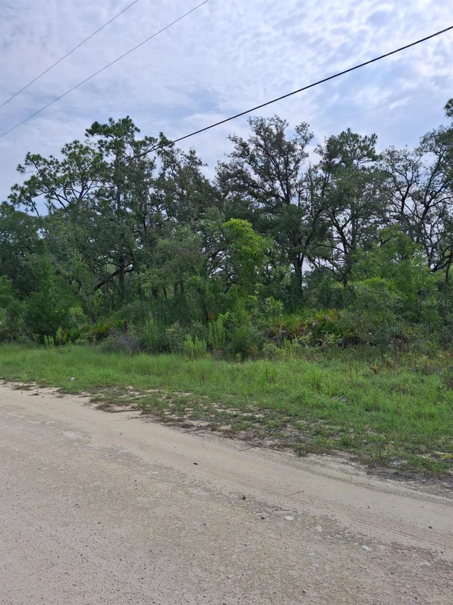 18308 Parakeet Rd Property Photo 4