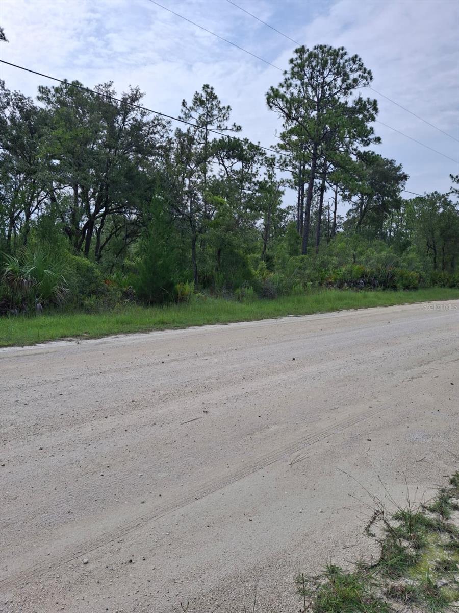 18308 Parakeet Rd Property Photo 6