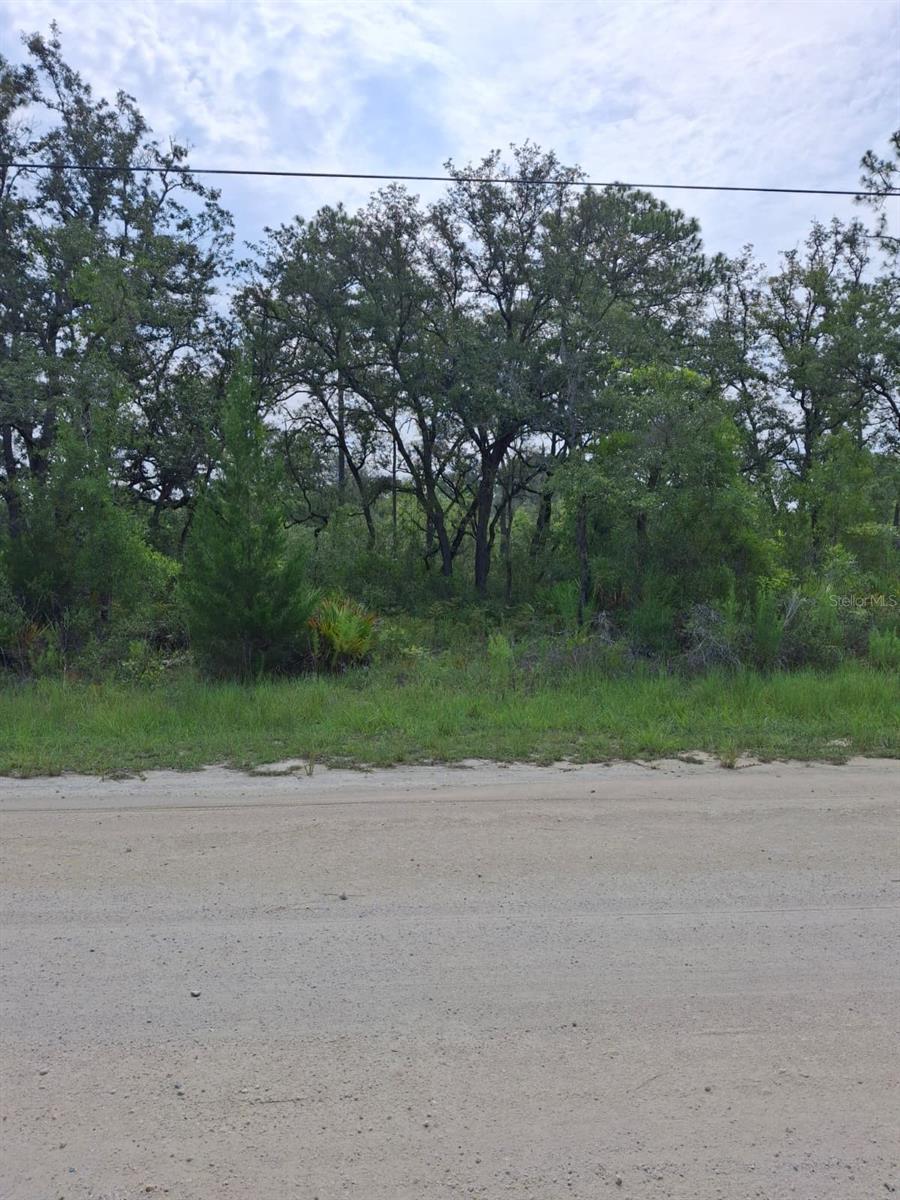 18308 Parakeet Rd Property Photo 8