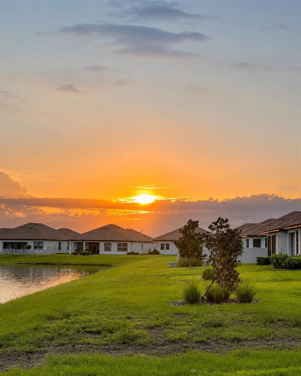 17307 Blue Walk St Property Photo 3