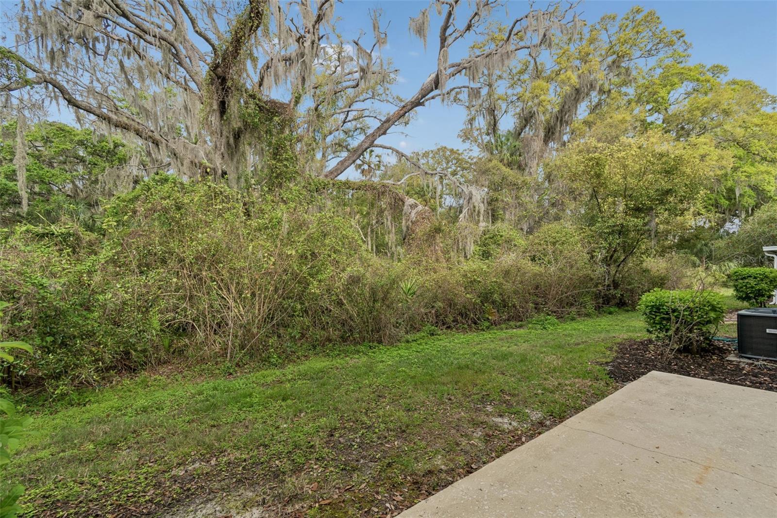 20112 Indian Rosewood Dr Property Photo 49