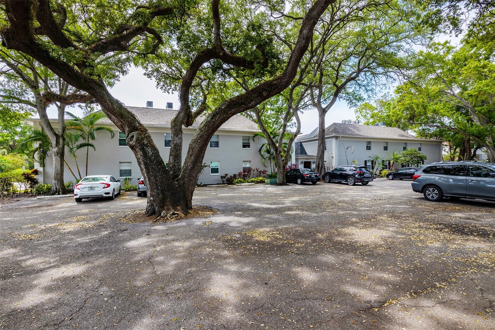 5221 Bayshore Blvd #11 Property Photo 3
