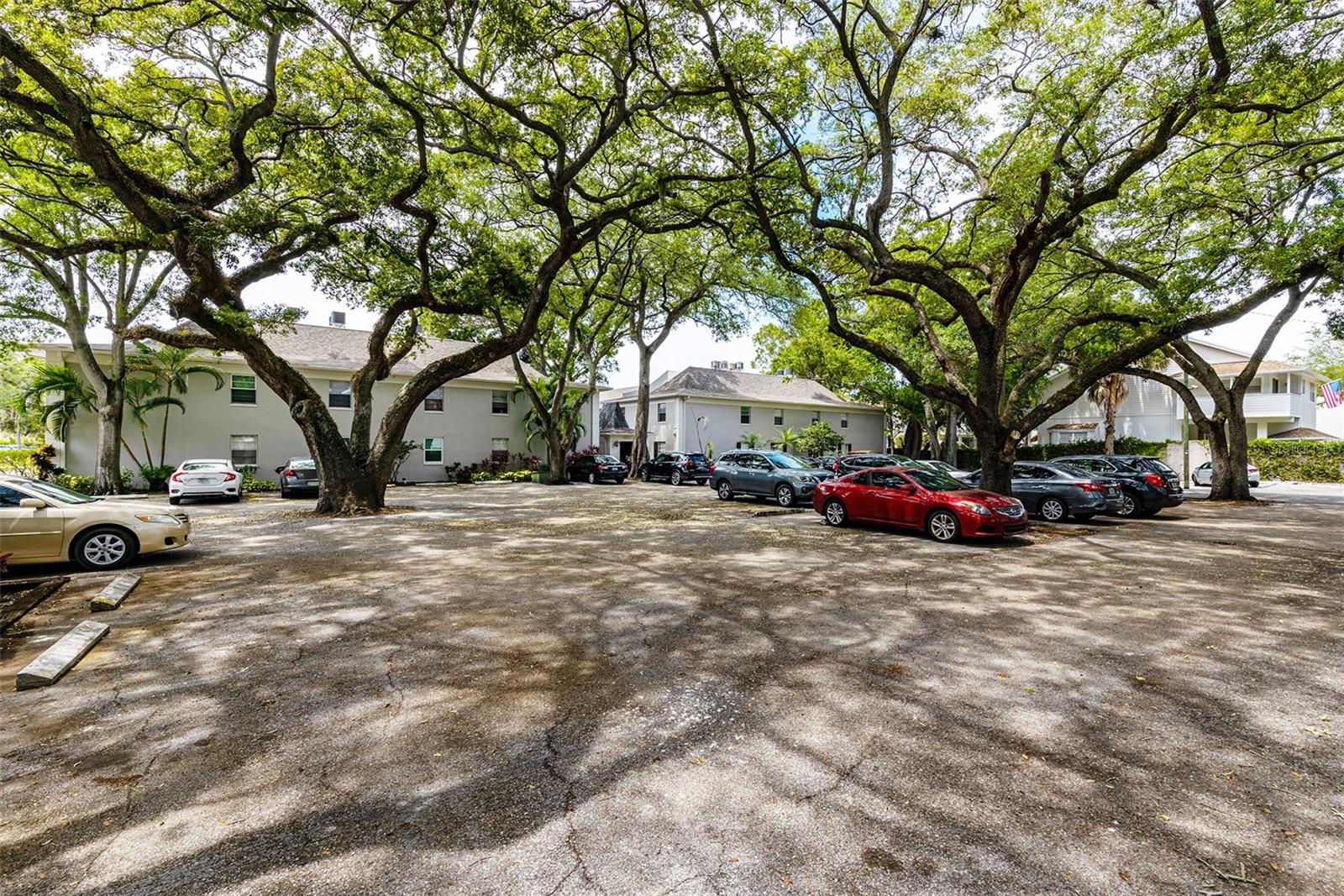 5221 Bayshore Blvd #11 Property Photo 5