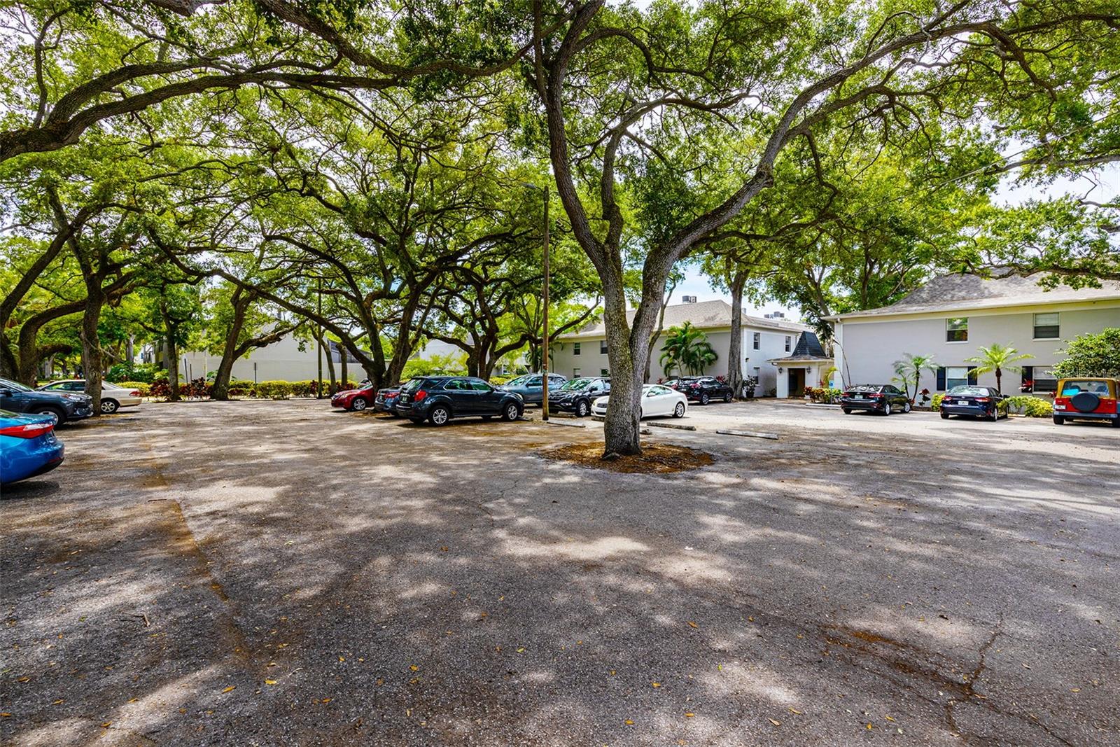 5221 Bayshore Blvd #11 Property Photo 6